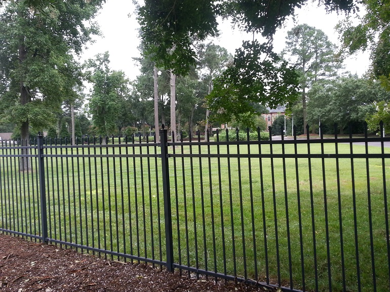 Black iron fence around green lawn