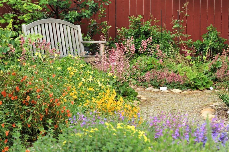 A garden path, a bench, and garden beds with heuchera, mimulus, and penstemon 