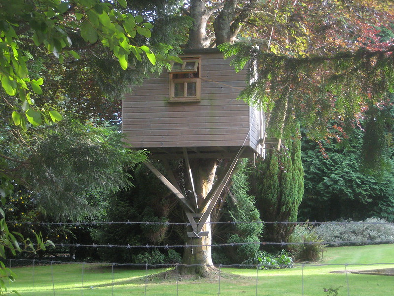 Square, wooden treehouse with barbed wire in the foreground