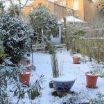 How to Winterize Your St. Louis Garden