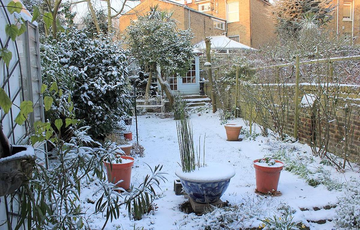 Light blanket of snow covers a small garden