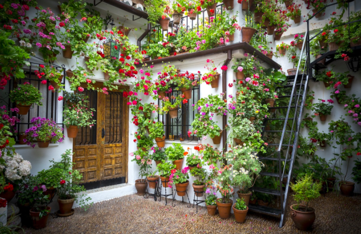 vertical garden in a yard