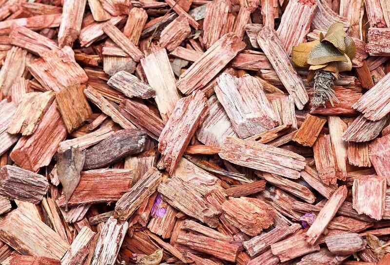 close-up of bark mulch