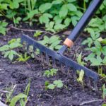 How to Winterize Your Denver Garden