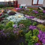 18 Night-Blooming Flowers for Your Moon Garden