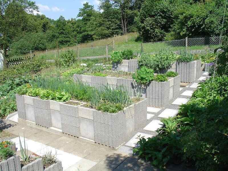 Raised vegetable garden beds made of cinder blocks.