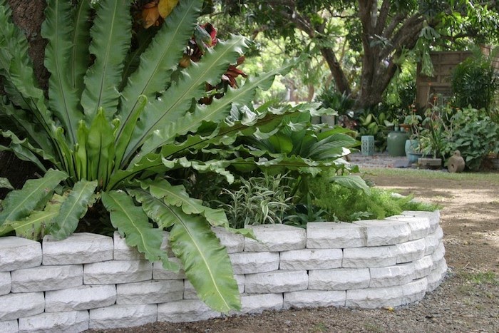 Close up of a retaining wall made of white landscaping blocks. The retaining wall supports a raised bed of green plants