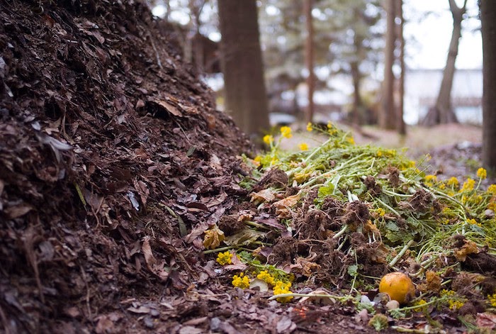 Close up of brown compost pile with small yellow flowers at the pile's bottom.