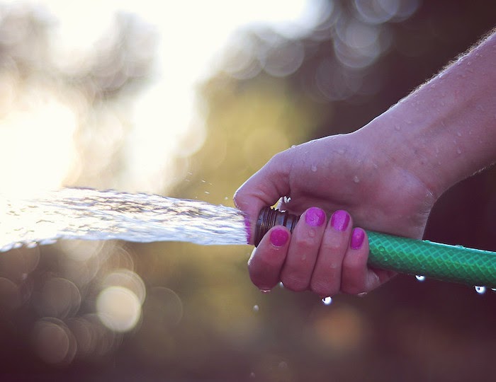 Close up of hand holding a green garden hose