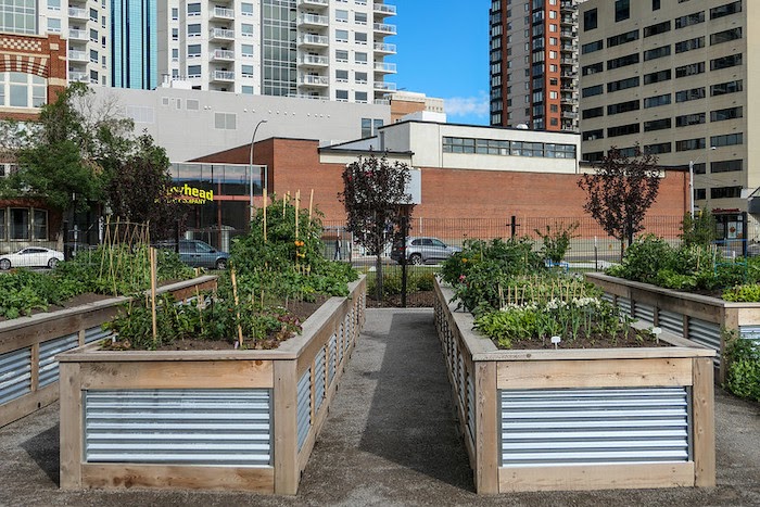 Urban garden with raised beds