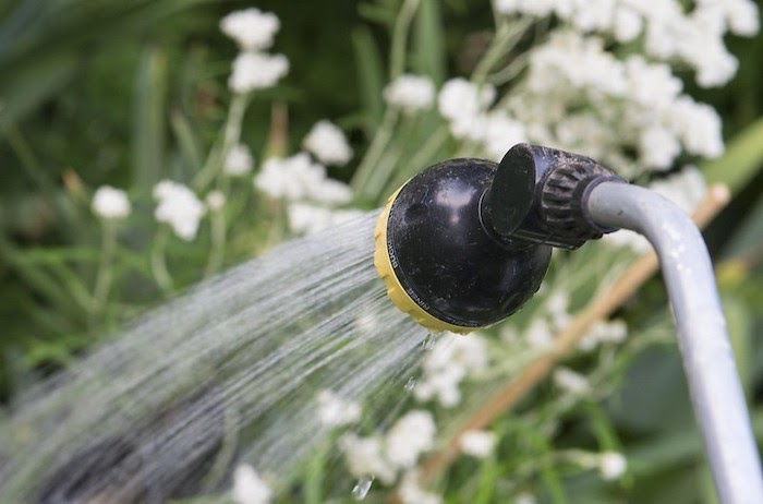 Close up of a water nozzle spraying a garden