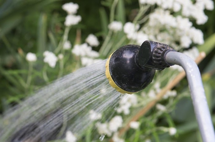 Close up of a water nozzle spraying a garden