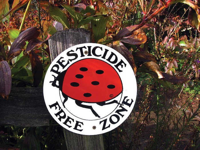Garden sign reads: Pesticide Free Zone