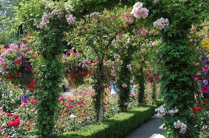 Garden with various blooming heights, including arbors and hanging baskets