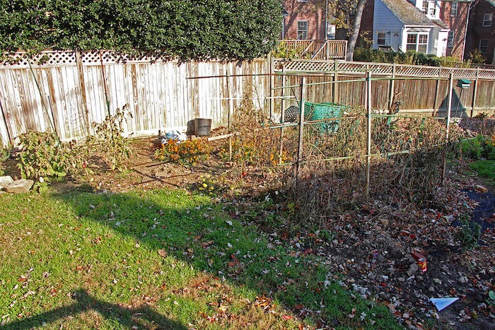 Vegetable garden hit by the first frost