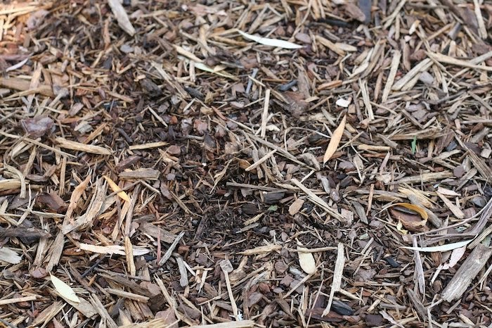Close up of brown shredded mulch