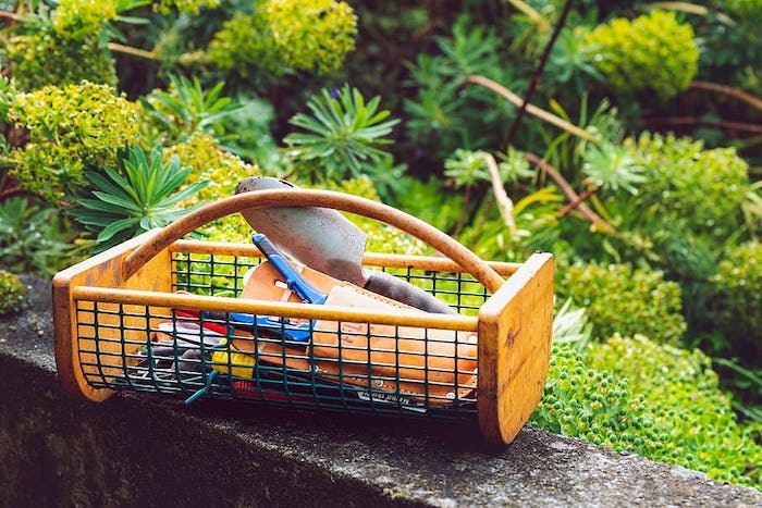 Basket full of garden tools