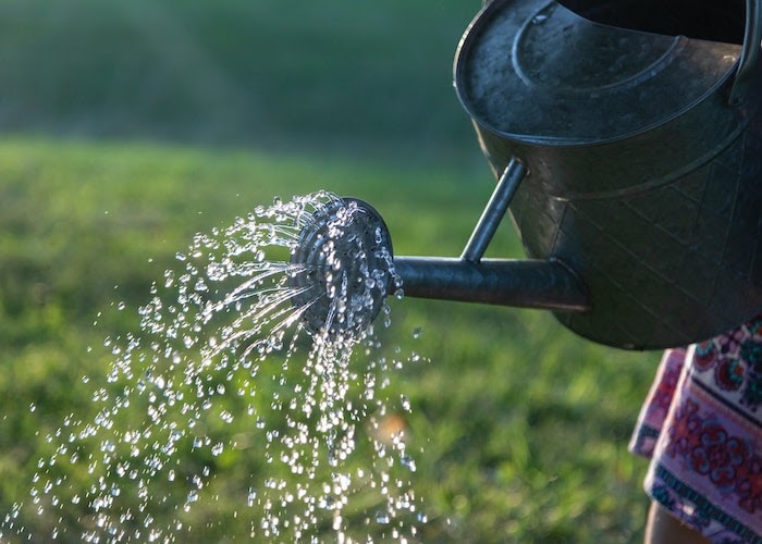 Water flows through a watering can's funnel