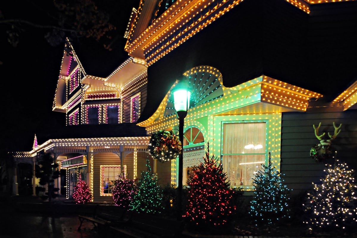 Two houses, and their trees out front, adorned with christmas lights