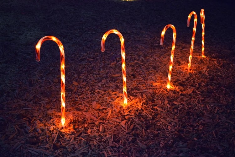5 candy cane stake lights in mulched yard