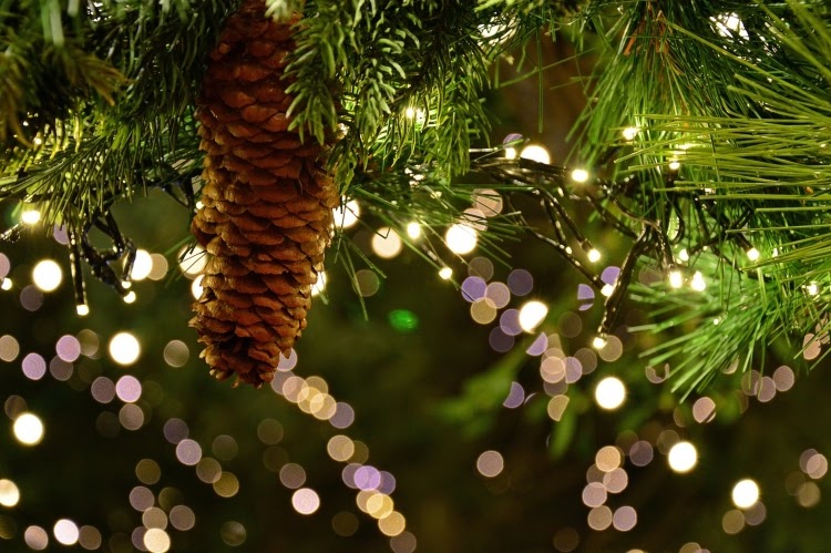 Garland with pine cone and white string lights