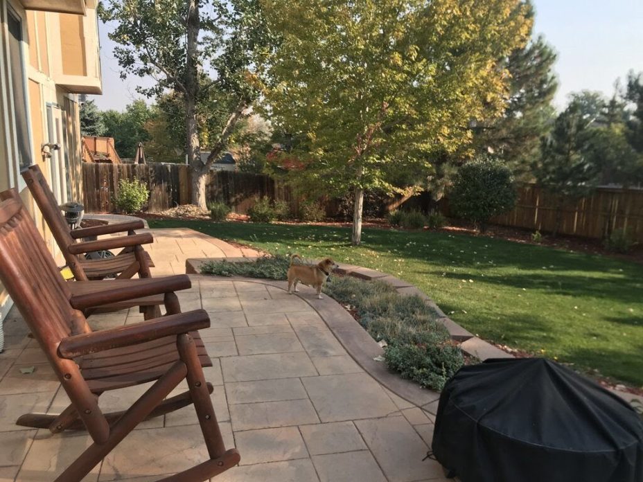 15 Backyard Patio Ideas to Wow Friends and Family - LawnStarter