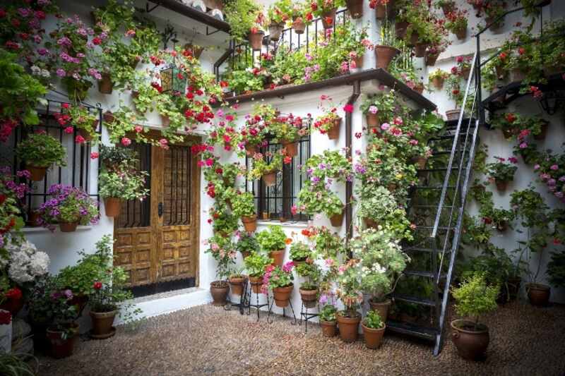 small, backyard patio with various potted plants, climbing plants, and hanging plants