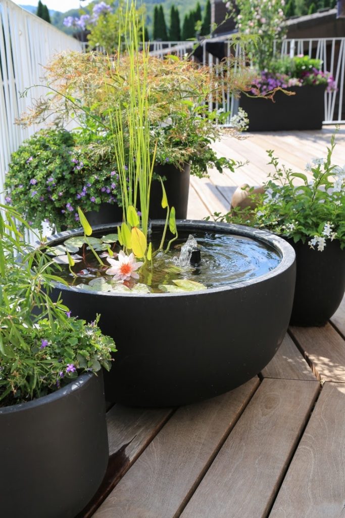 small patio with container water garden