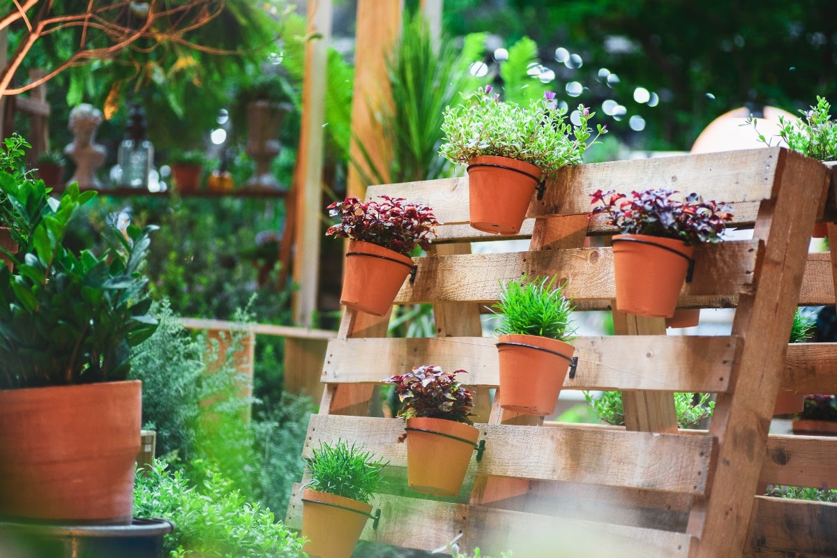 Pallet trellis with terra cotta pots with flowers mounted to it