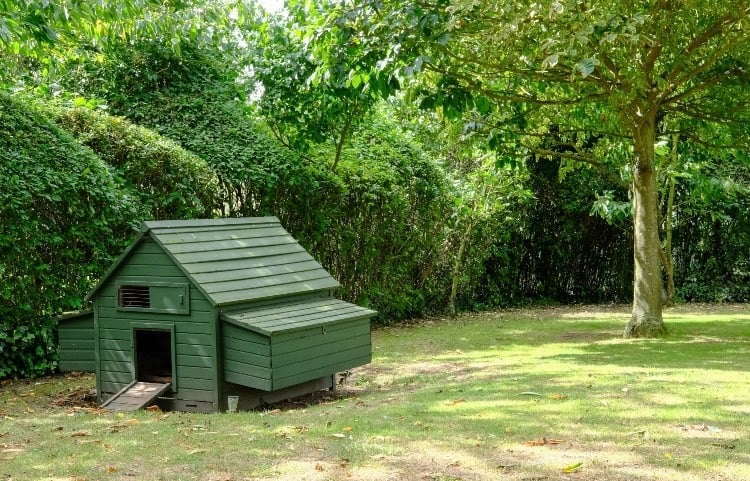 Green chicken coop made of wooden pallets
