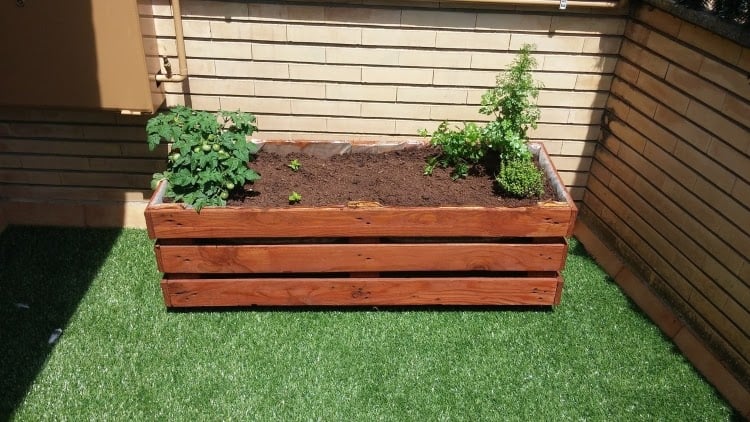 wooden pallet raised garden bed with vegetable plants