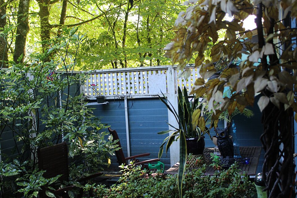 backyard in a park