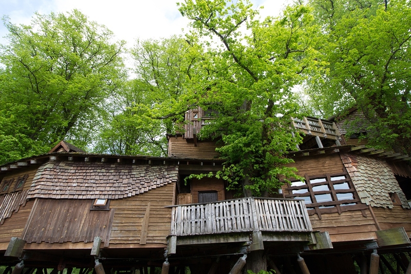 Looking up at a big wooden treehouse with windows and accents