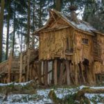 How to Build a Treehouse (in 11 Steps)