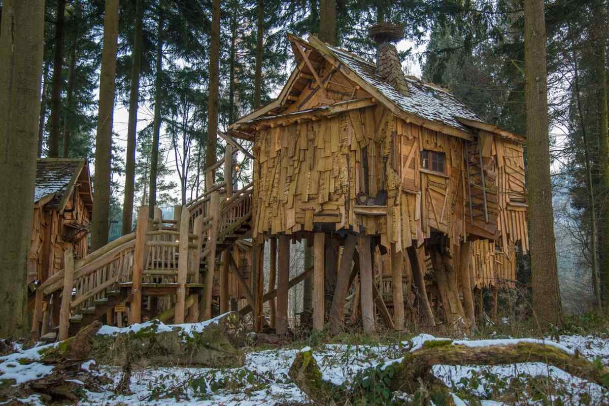 wooden tree house
