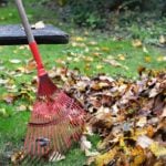 Raking Leaves: 7 Things To Do With Them