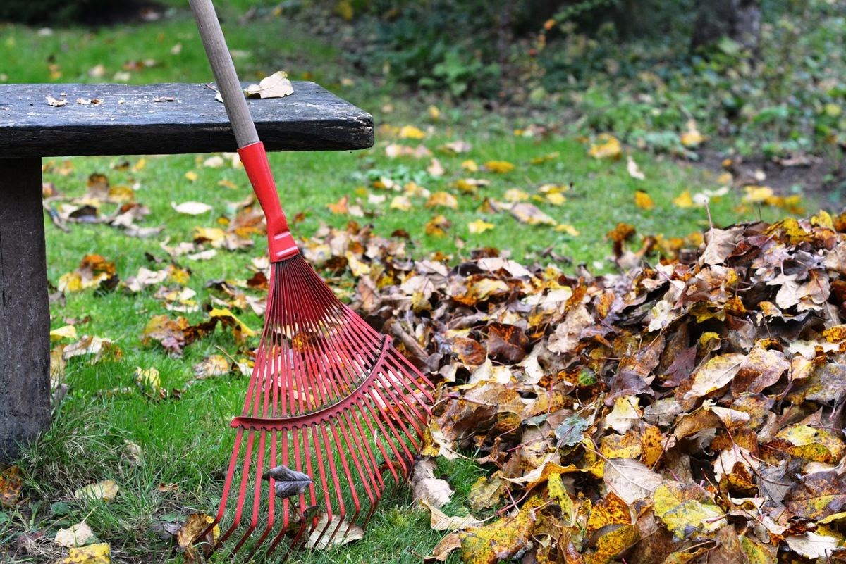 red rake leaning against a wooden bench beside a pile of fall leaves