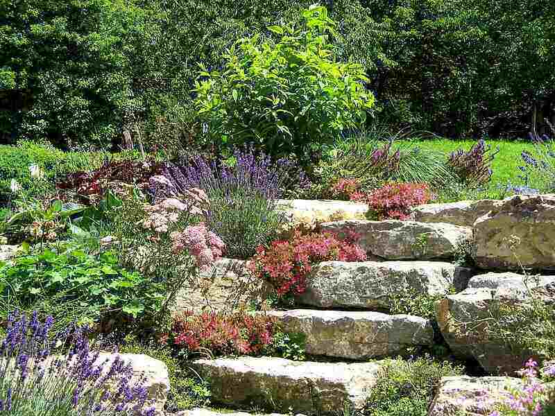 Natural Stone Garden