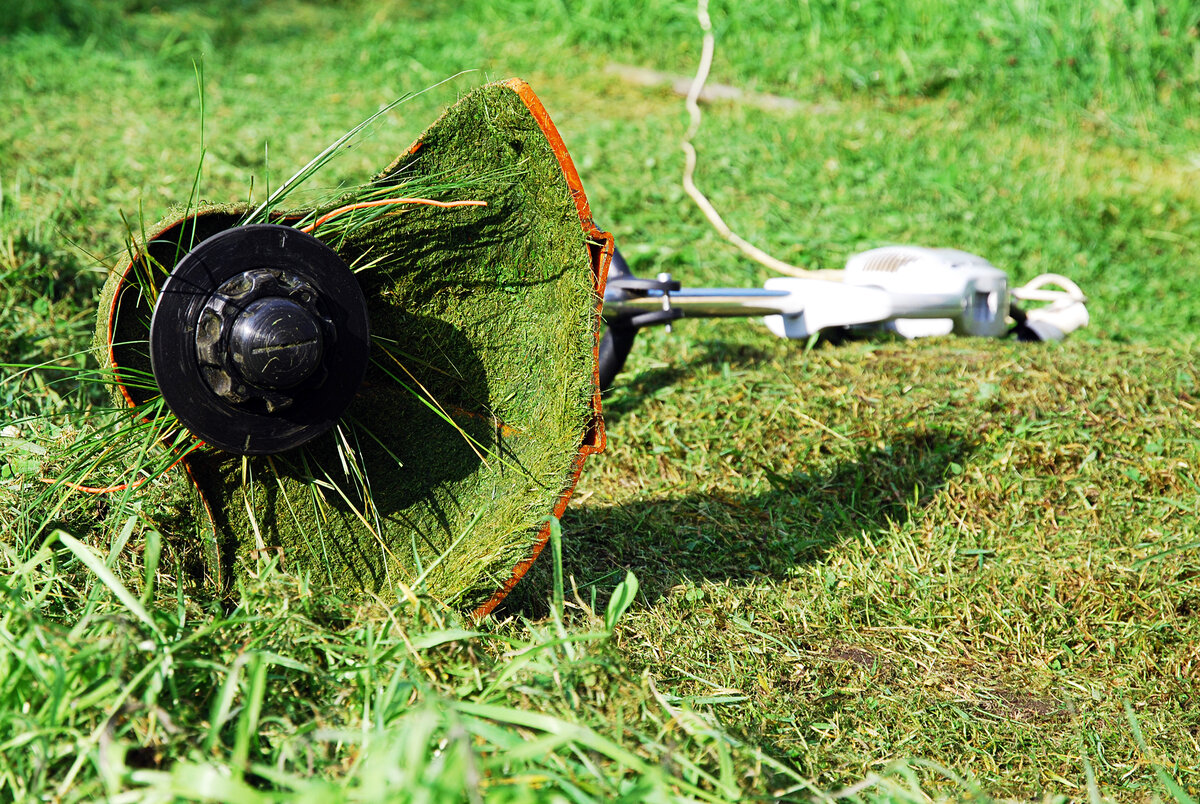 eco electric weed eater