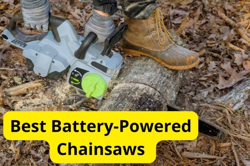 10 Best BatteryPowered Chainsaws of 2025 [Reviews]