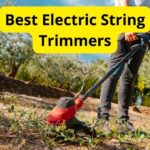 7 Best Electric String Trimmers of 2024 [Reviews]