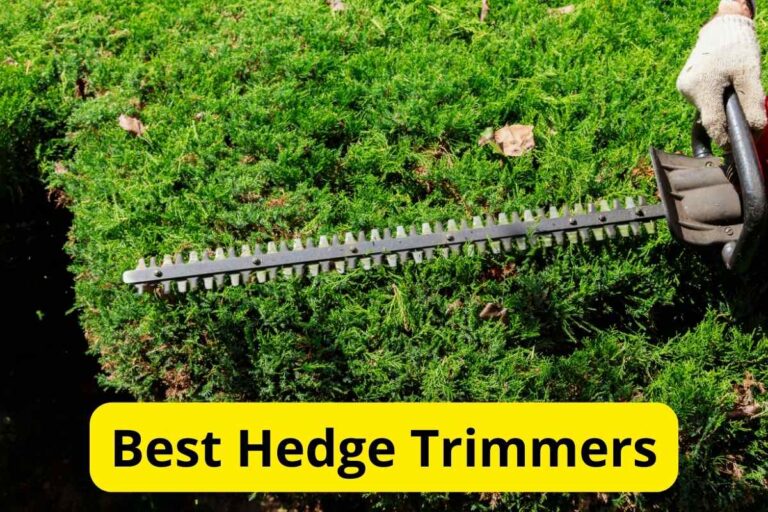 10 Best Hedge Trimmers of 2026 [Reviews]