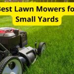 10 Best Lawn Mowers for Small Yards in 2024 [Reviews]
