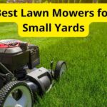 10 Best Lawn Mowers for Small Yards in 2025 [Reviews]