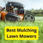 10 Best Mulching Lawn Mowers of 2021 [Reviews]
