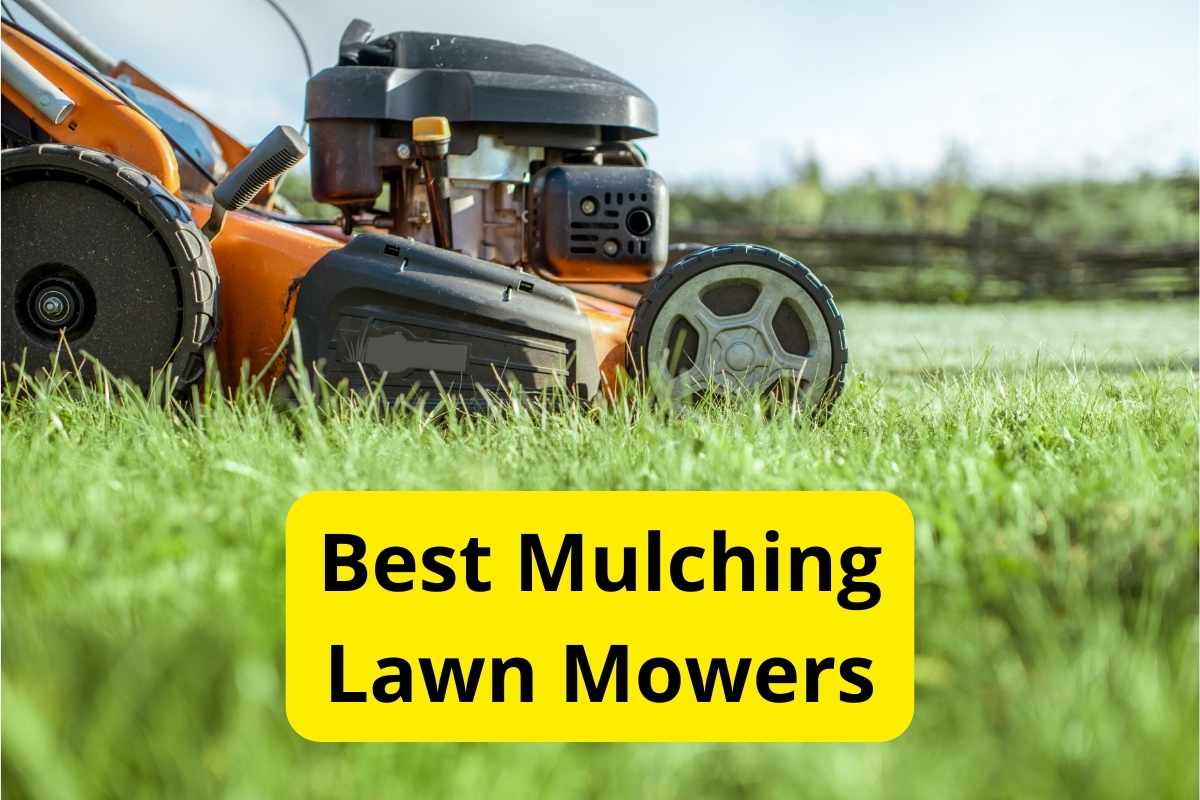 10 Best Mulching Lawn Mowers of 2024 Reviews