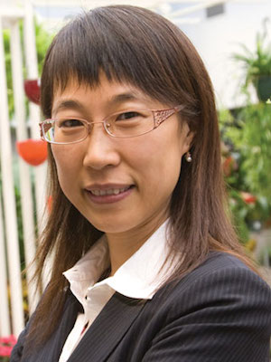 Chengyan Yue