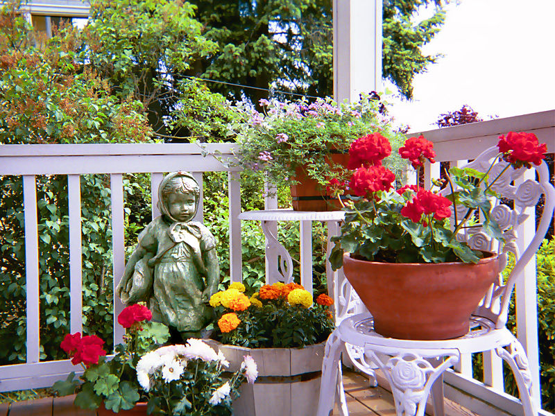 Container garden on the patio