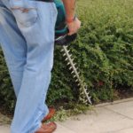 10 Best Electric Hedge Trimmers of 2021 [Reviews]