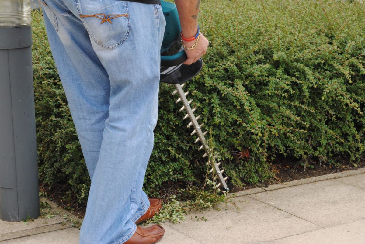 Man trimming hedges with cordless hedge trimmer